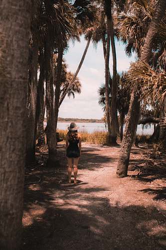 myakka river state park woman standing near palm trees sarasota